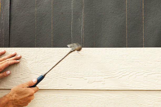 Best Composite Siding  in Ocean Ridge, FL
